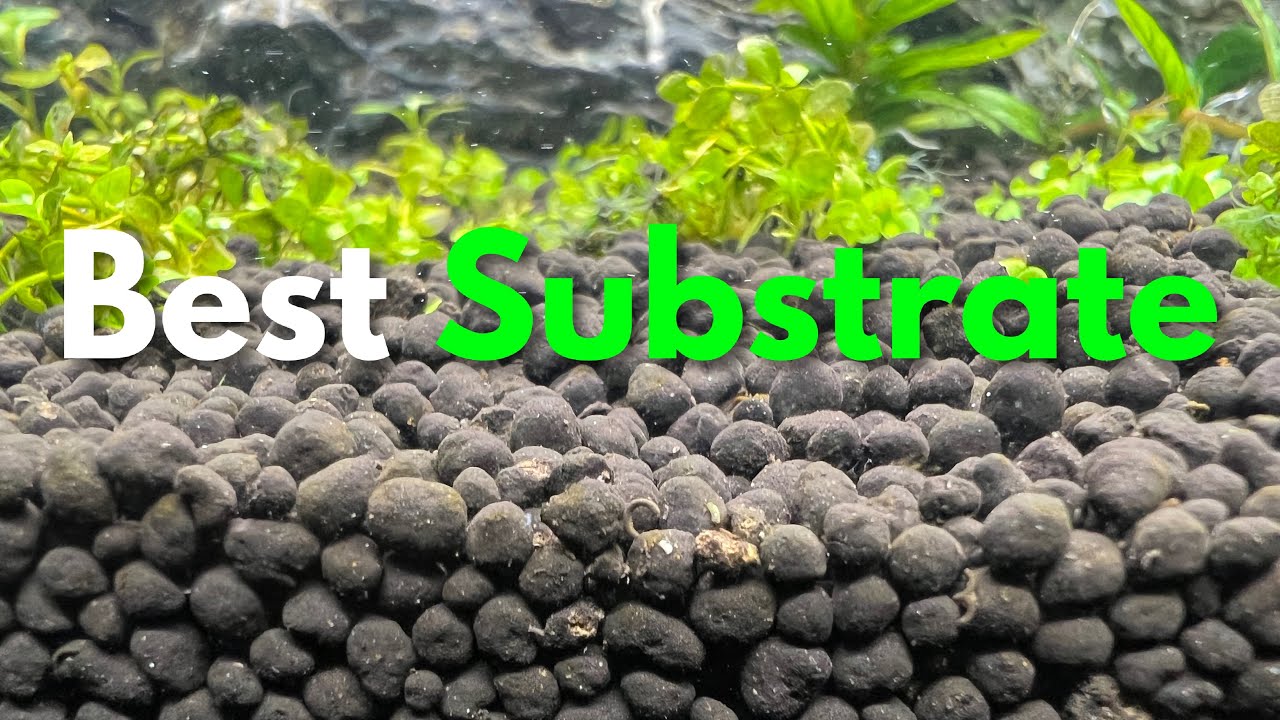 Substrate